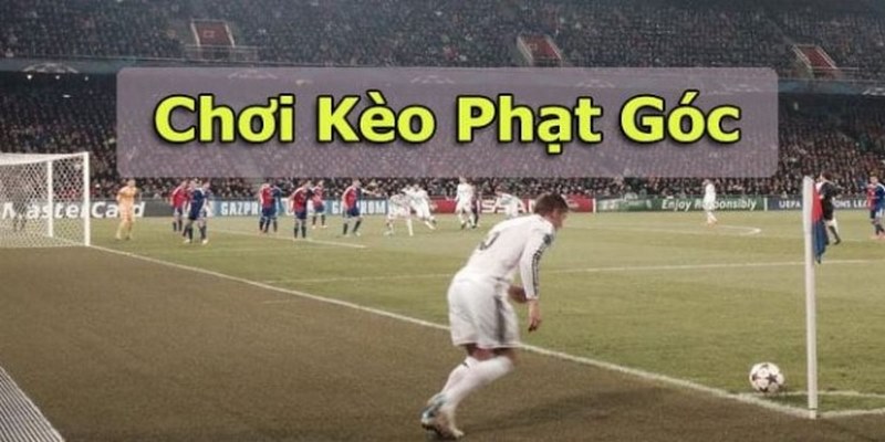 Bí quyết soi kèo từ cao thủ