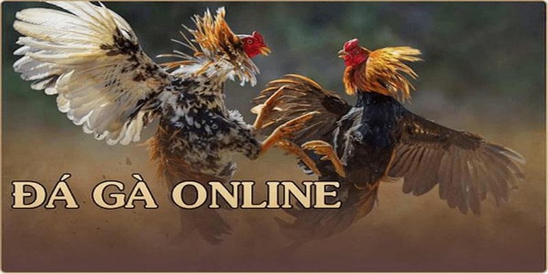 Những trận đấu online đầy máu lửa